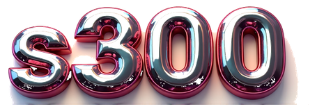 s300 logo